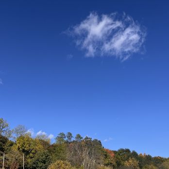 Granite City Park - Foliage peeking out - Parks Near Me - Hallowell, Maine