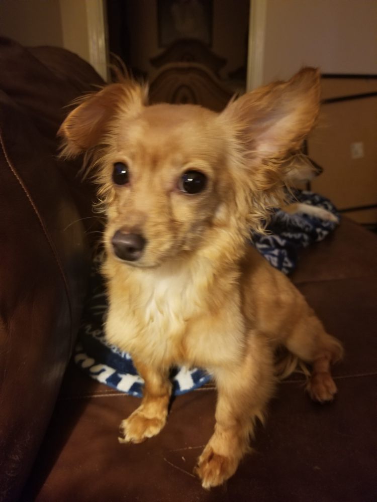 BEESLEY ANIMAL CLINIC 14 Photos & 12 Reviews 2215 Keeneland