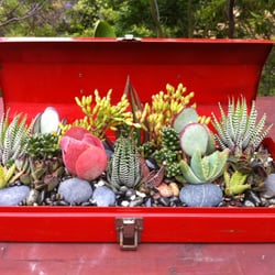 Organic Designs By Aggelige - We'll make a planter out of anything cool we can get our hands on! like this vintage tool box!