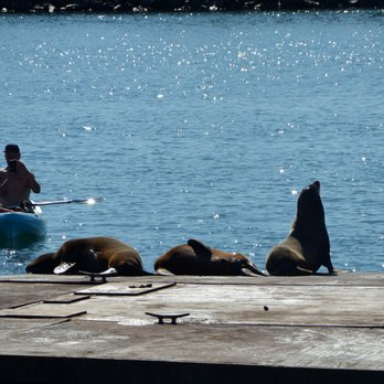Oceanside Harbor - Boating Near Me - Oceanside, California