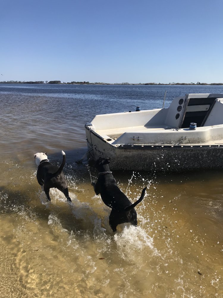 WHISKER SISTERS COASTAL PET CARE Gulfport, Mississippi Pet Sitting