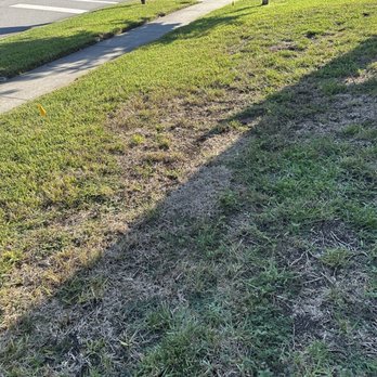 Turner Pest Control - Pest Control Near Me - Jacksonville, Florida Turner Pest Control - Pest Control Near Me - Jacksonville, Florida