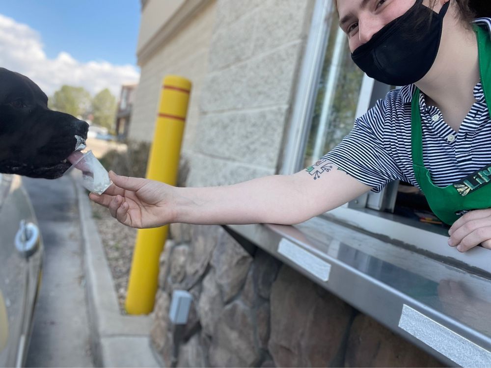 AURORA ANIMAL SHELTER 15 Photos & 30 Reviews 15750 E 32nd Ave