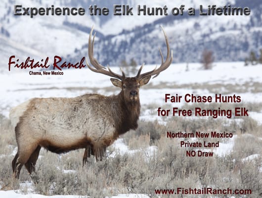 FISHTAIL RANCH - Updated December 2025 - 15 Photos - 35 Fishtail Rd ...