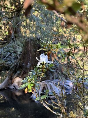 Chiayi County, Taiwan 605 by null