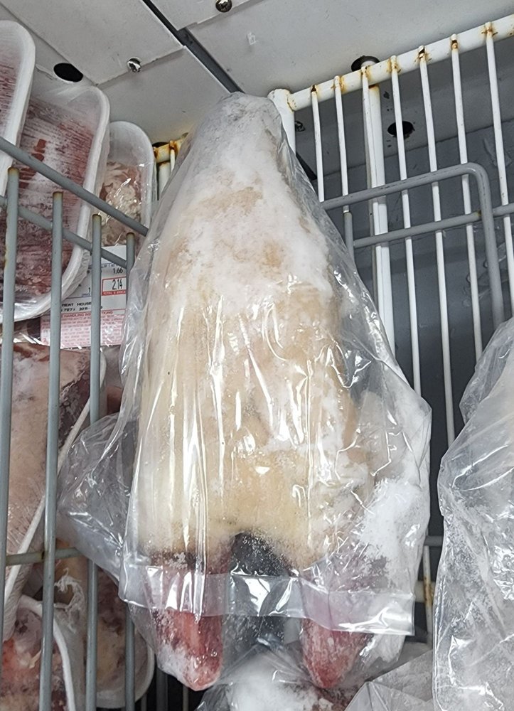 MEAT HOUSE OF ST PETE Updated October 2024 11 Reviews 3101