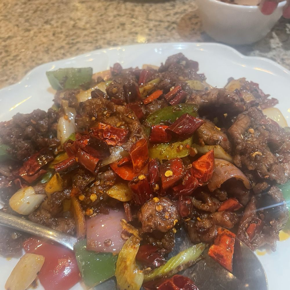Green Tea Restaurant - Lamb with Cumin - Seafood Near Me - Stony Brook, New York