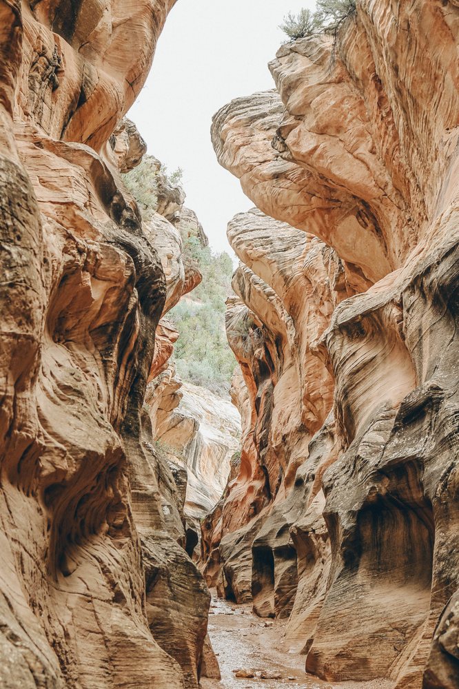 VOYAGE RISING Updated August 2024 La Pine, Oregon Hiking Phone