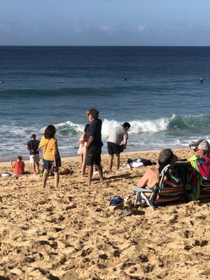 ʻEhukai Beach Park by null