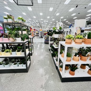 Target - Plants! - Department Stores Near Me - Spring, Texas