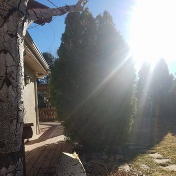 Riverdale Tree Services - Tree Services Near Me Riverdale Tree Services - Tree Services Near Me