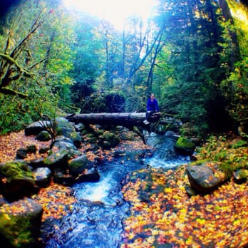 Multnomah Falls - Fall foliage! - Hiking Near Me - Bridal Veil, Oregon Multnomah Falls - Fall foliage! - Hiking Near Me - Bridal Veil, Oregon