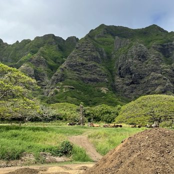 Kualoa Ranch - Tours Near Me - Kaneohe, Hawaii Kualoa Ranch - Tours Near Me - Kaneohe, Hawaii