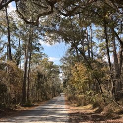 Suwannee Springs