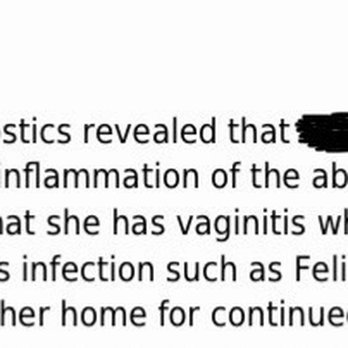 SNAP Spay Neuter Action Project - Proof of left ovary remaining. - Veterinarians Near Me SNAP Spay Neuter Action Project - Proof of left ovary remaining. - Veterinarians Near Me