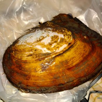 Pearl & The Beast - I chose the classic mussel - Jewelry Near Me - New York, New York Pearl & The Beast - I chose the classic mussel - Jewelry Near Me - New York, New York
