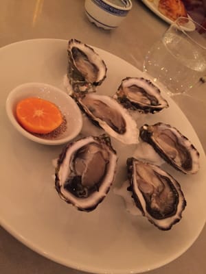 Anchovy by null