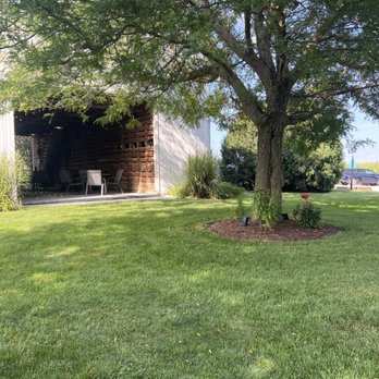 Gilted Edge Winery - a tree in the yard - Wine Tasting Room Near Me - Newark, Illinois