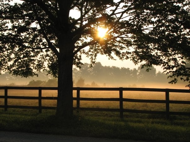 Win Row Farm - equestrian in Lebanon, OH