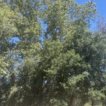 Santiago Oaks Regional Park - Parks Near Me - Orange, California