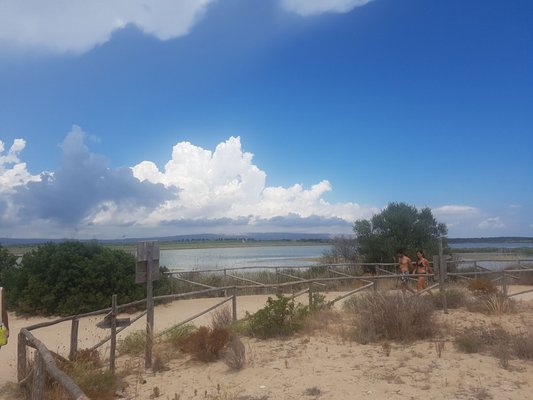 Riserva naturale orientata Oasi Faunistica di Vendicari by null