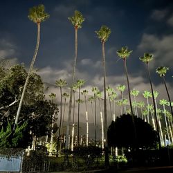 La Jolla Beach & Tennis Club - Oct 31, 2025