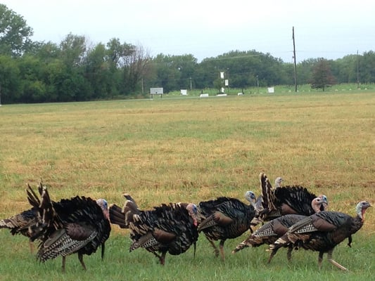 RIORDAN CLINIC - Updated January 2026 - 14 Photos - 3100 N Hillside St ...