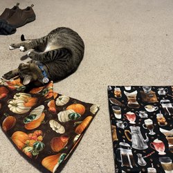 The Craft Box - My cat loves the fabrics!