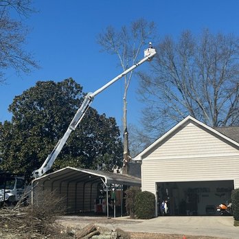 Colburn's Tree Service - Tree Services Near Me - Cullman, Alabama Colburn's Tree Service - Tree Services Near Me - Cullman, Alabama