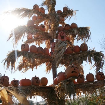 Vala's Pumpkin Patch - Venues & Event Spaces Near Me - Gretna, Nebraska