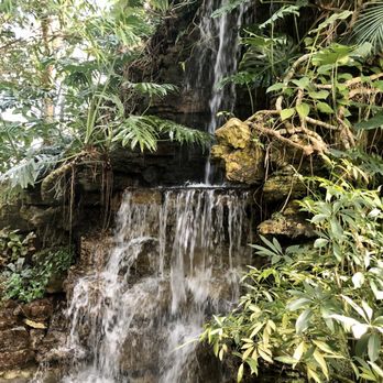 Krohn Conservatory - Botanical Gardens Near Me - Cincinnati, Ohio