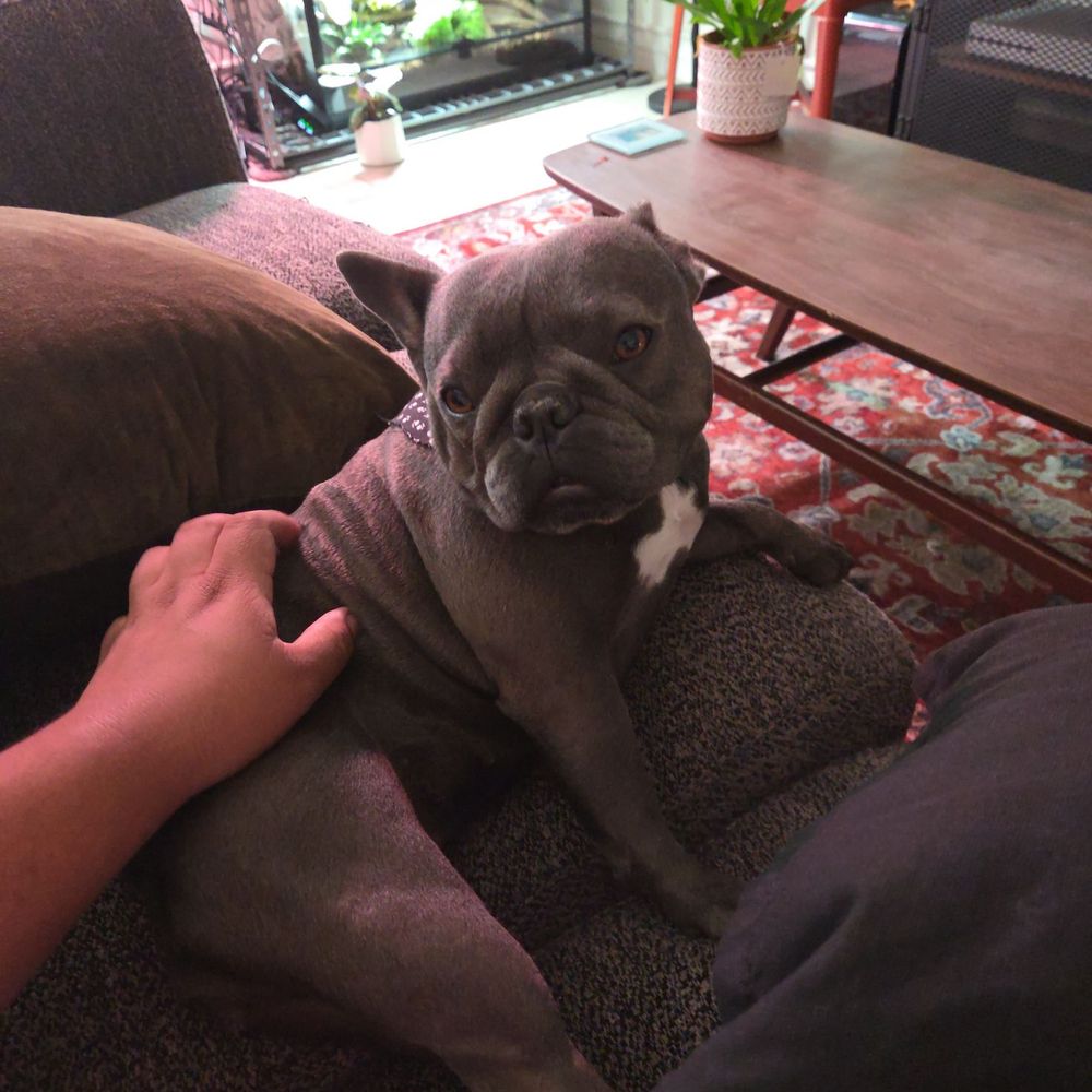 She was all tired after getting pampered She was all tired after getting pampered