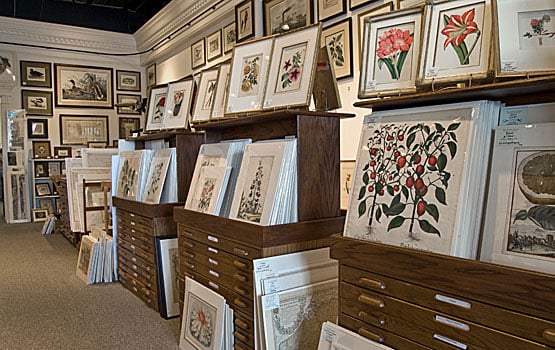 The Antiquarium - Houston's Finest Custom Picture Framing, Rare Maps and Prints by null
