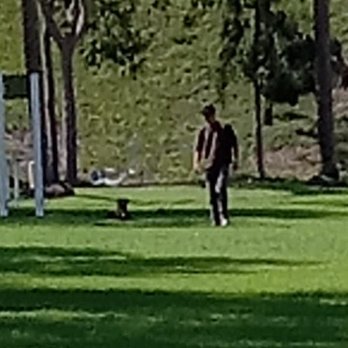 The Triangle Park - inconsiderate dog owner and his dog without a leash - Parks Near Me - Los Angeles, California The Triangle Park - inconsiderate dog owner and his dog without a leash - Parks Near Me - Los Angeles, California