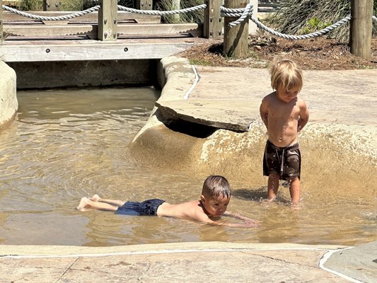 Lowcountry Celebration Park by null