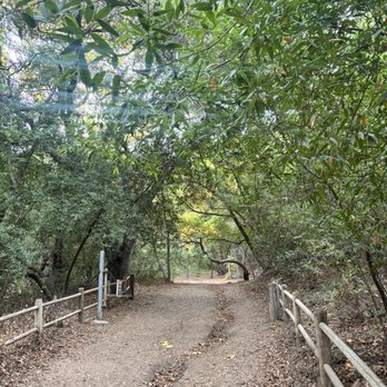 Nojoqui Falls County Park - Parks Near Me - Solvang, California Nojoqui Falls County Park - Parks Near Me - Solvang, California