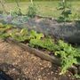 Photo of Pascarella Nursery