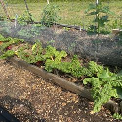Pascarella Nursery - Topsoil from Pascarella Nursery