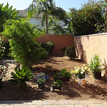 Oc Tree Care - After - Tree Services Near Me - Orange, California Oc Tree Care - After - Tree Services Near Me - Orange, California