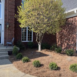 Scearce Lawncare