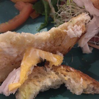 The Potholder Cafe - Breakfast & Brunch Near Me - Long Beach, California The Potholder Cafe - Breakfast & Brunch Near Me - Long Beach, California