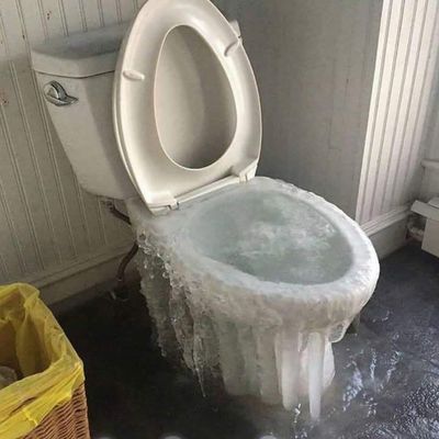 Bigdawg Drain Cleaning and Repair Logo