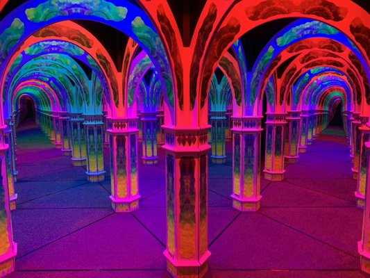 Magowan's Infinite Mirror Maze by null