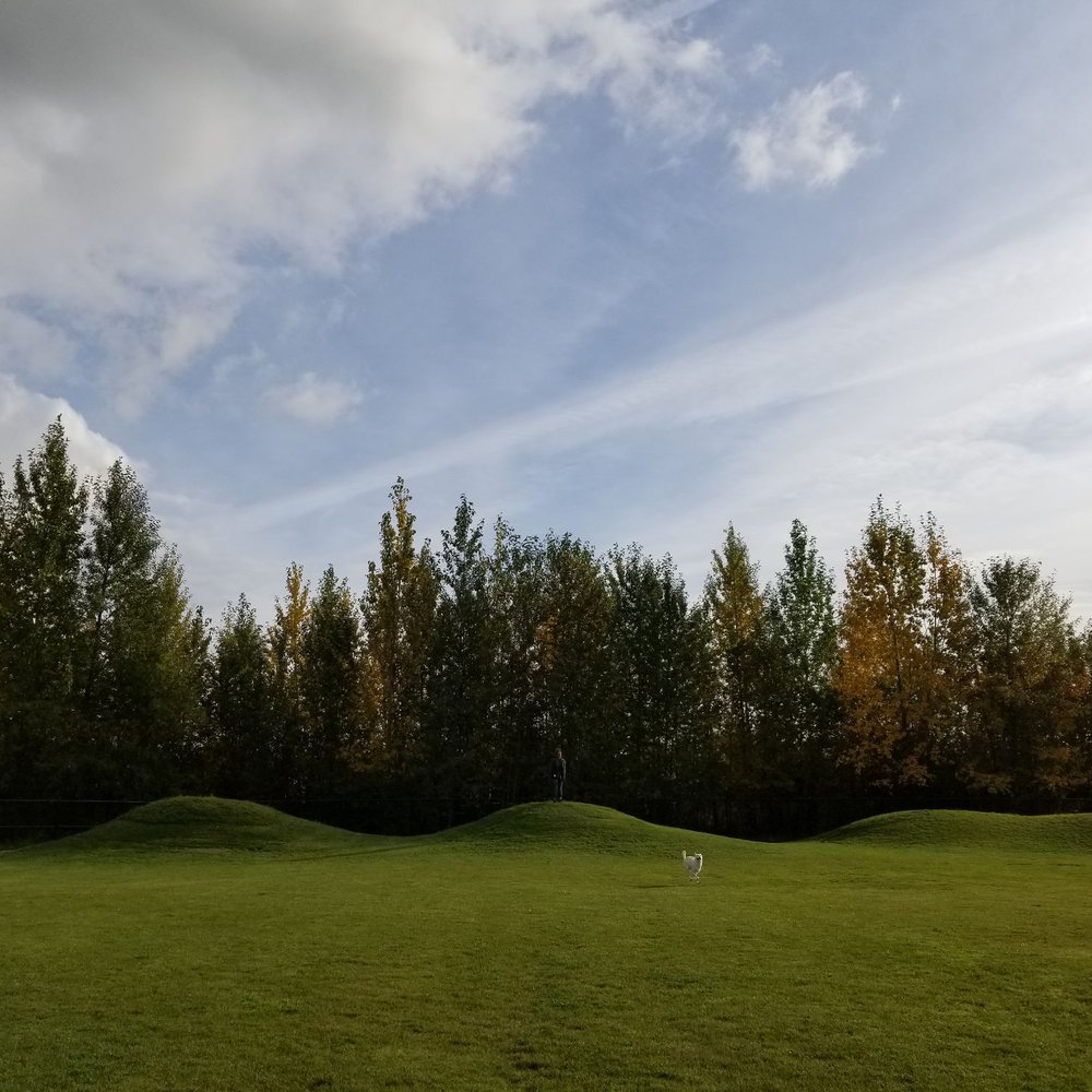 Whisper Faith Kovach Park - Dog Parks Near Me - Anchorage, Alaska Whisper Faith Kovach Park - Dog Parks Near Me - Anchorage, Alaska