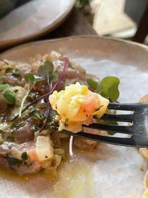 Boni and Mott by null