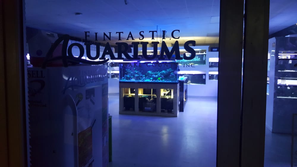 FINTASTIC AQUARIUMS OF WAKE COUNTY Updated September 2024 14