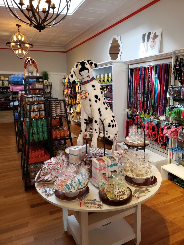 CIAO! BOW WOW WINCHESTER Updated August 2024 15 Mount Vernon St, Winchester, Massachusetts