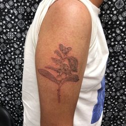 Paper Cocoon Tattoo Studio - Coffee Branch Tattoo