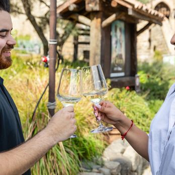 Calistoga Tours - Wine Tours Near Me Calistoga Tours - Wine Tours Near Me