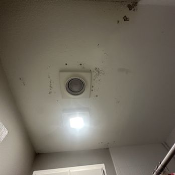 Monarch Medical Center - Black mold - Apartments Near Me - Houston, Texas Monarch Medical Center - Black mold - Apartments Near Me - Houston, Texas